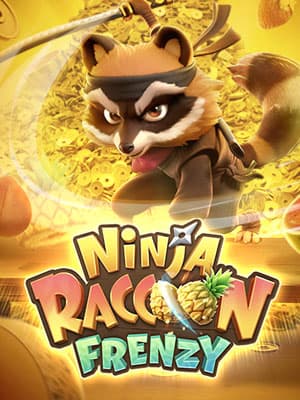 Ninja Raccoon Frenzy